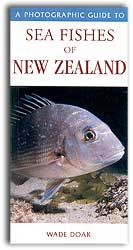 A PHOTOGRAPHIC GUIDE TO SEA FISHES OF NEW ZEALAND