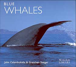 WORLDLIFE LIBRARY. BLUE WHALES 1