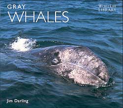 WORLDLIFE LIBRARY. GRAY WHALES 1