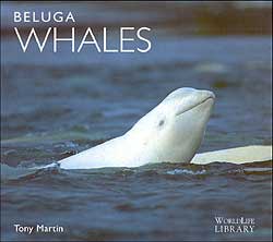 WORLDLIFE LIBRARY. BELUGA WHALES 1