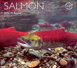 WORLDLIFE LIBRARY. SALMON
