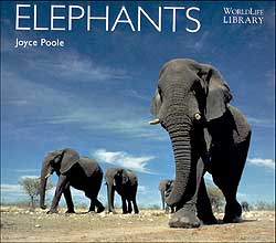 WORLDLIFE LIBRARY. ELEPHANTS