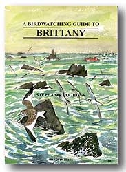 A BIRDWATCHING GUIDE TO BRITTANY