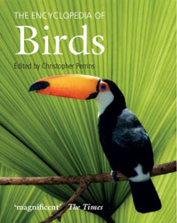 THE ENCYCLOPEDIA OF BIRDS