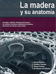 LA MADERA Y SU ANATONÍA 1