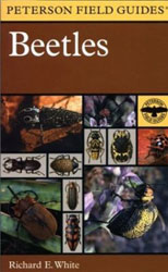 PETERSON FIELD GUIDES. BEETLES