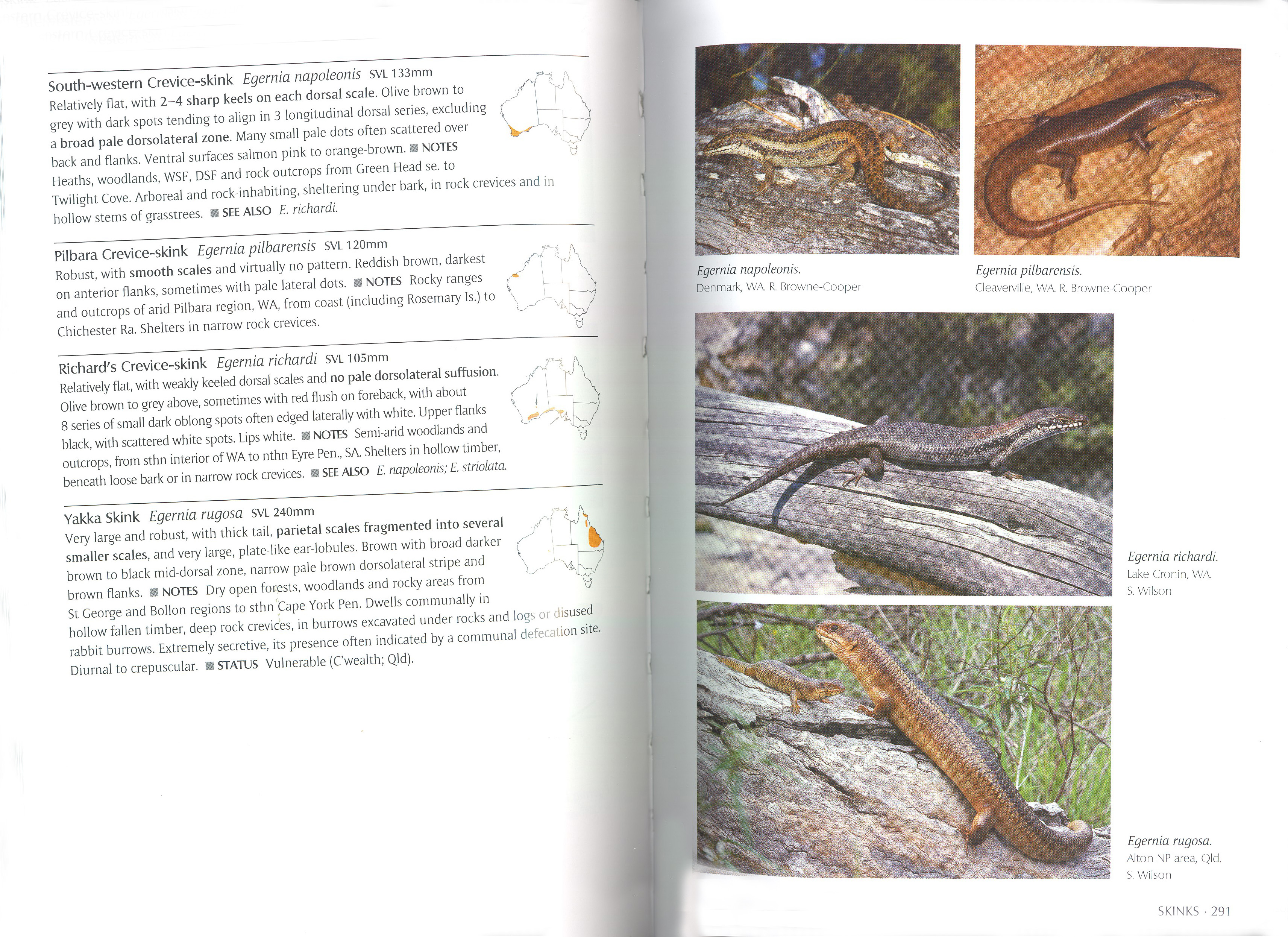 A COMPLETE GUIDE TO REPTILES OF AUSTRALIA 4