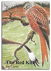 THE RED KITE 1