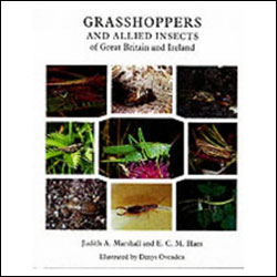 GRASSHOPPERS AND ALLIED INSECTS OF GREAT BRITAIN AND IRELAND 1