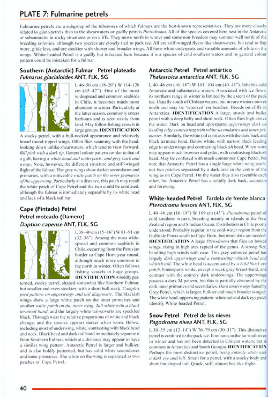 HELM FIELD GUIDES. BIRDS OF CHILE INCLUDING THE ANTARCTIC PENINSULA, THE FALKLAND ISLANDS AND SOUTH GEORGIA 2