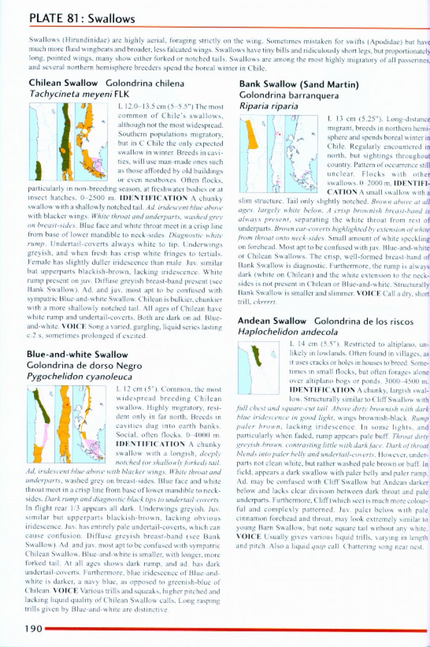 HELM FIELD GUIDES. BIRDS OF CHILE INCLUDING THE ANTARCTIC PENINSULA, THE FALKLAND ISLANDS AND SOUTH GEORGIA 4