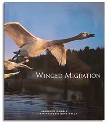 WINGED MIGRATION 1