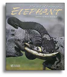 THE ART OF BEING AN ELEPHANT