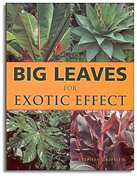 BIG LEAVES FOR EXOTIC EFFECT 1