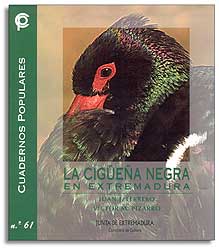 LA CIGÜEÑA NEGRA EN EXTREMADURA 1