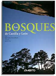 LOS BOSQUES DE CASTILLA Y LEÓN 1