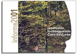 LA SALUD DE LOS BOSQUES DE CASTILLA Y LEÓN. INFORME 2001 1
