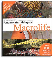 A DIVER'S GUIDE TO UNDERWATER MALAYSIA MACROLIFE