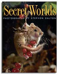 SECRET WORLDS 1