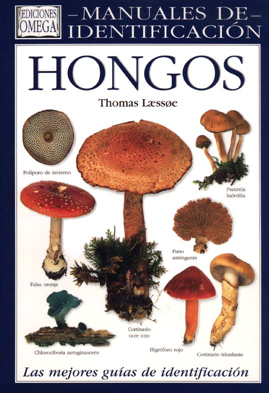 MANUALES DE IDENTIFICACIÓN. HONGOS 1