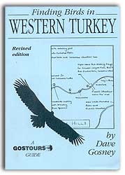 FINDING BIRDS IN WESTERN TURKEY. 1