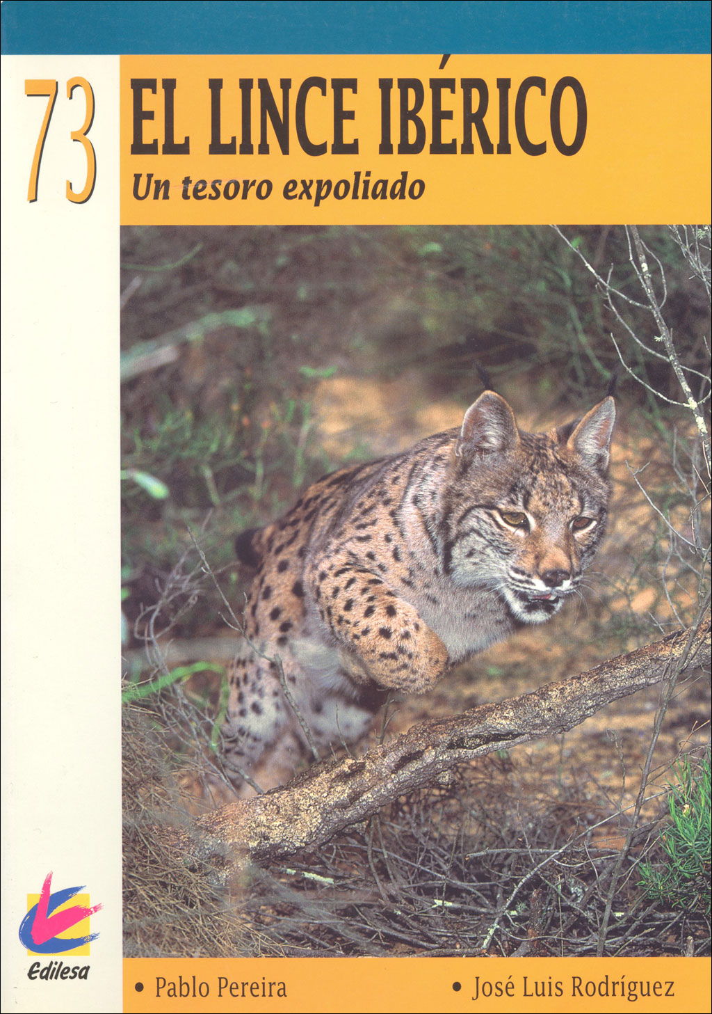 EL LINCE IBÉRICO. UN TESORO EXPOLIADO 1