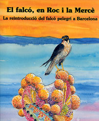 EL FALCÓ, EN ROC I LA MERCÈ. LA REINTRODUCCIÓ DEL FALCÓ PELEGRÍ A BARCELONA 1