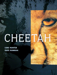 CHEETAH 1
