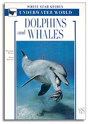 DOLPHINS AND WHALES. WHITE STAR GUIDES. UNDERWATER WORLD