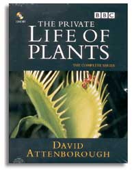 THE PRIVATE LIFE OF PLANTS DVD