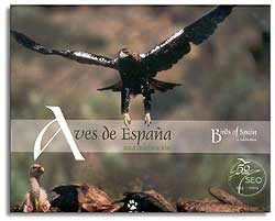 AVES DE ESPAÑA . UNA CELEBRACIÓN 1