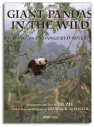 GIANT PANDAS IN THE WILD. SAVING AN ENDANGERED SPECIES