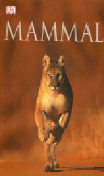 MAMMAL 1