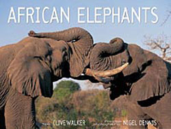 AFRICAN ELEPHANTS: A PHOTOGRAPHIC CELEBRATION 1