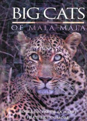 BIG CATS OF MALA MALA