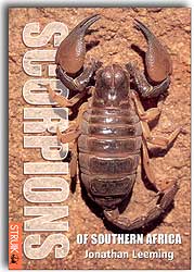 SCORPIONS OF SOUTHERN AFRICA
