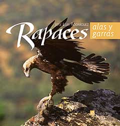 RAPACES: ALAS Y GARRAS