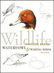 WILDLIFE PAINTING BASICS. WATERFOWL AND WADING BIRDS 1