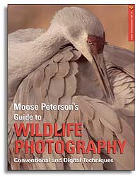 MOOSE PETERSON'S GUIDE TO WILDLIFE PHOTOGRAPHY. CONVENTIONAL AND DIGITAL TECHINIQUES 1