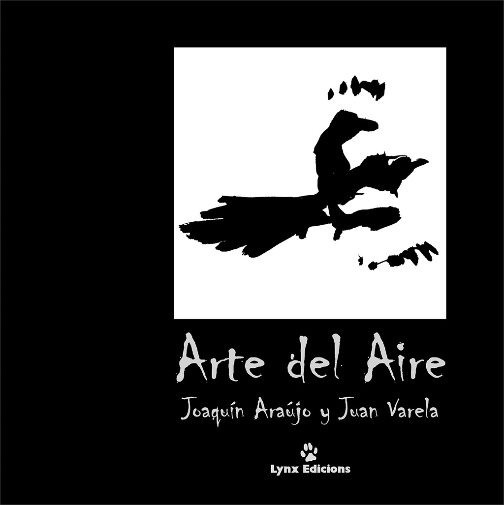 ARTE DEL AIRE
