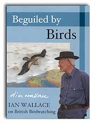 BEGUILED BY BIRDS