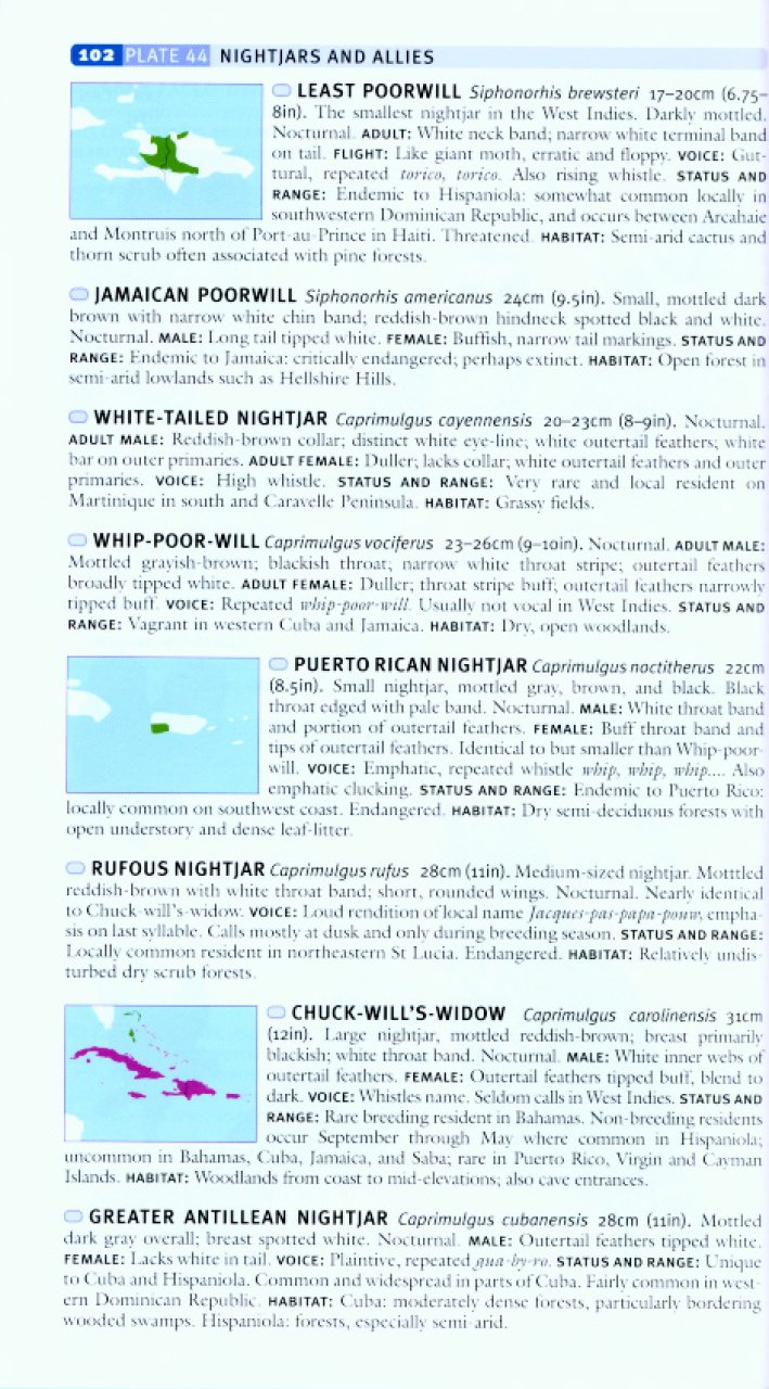HELM FIELD GUIDES TO THE BIRDS OF THE WEST INDIES 2