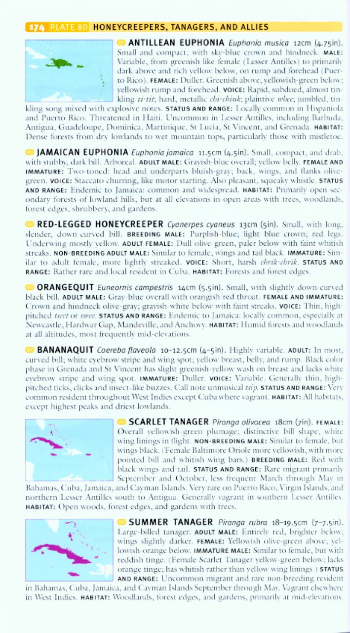 HELM FIELD GUIDES TO THE BIRDS OF THE WEST INDIES 4