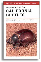 INTRODUCTION TO CALIFORNIA BEETLES