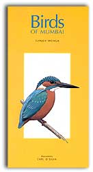 BIRDS OF MUMBAI