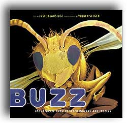 BUZZ. THE INTIMATE BOND BETWEEN HUMANS AND INSECTS