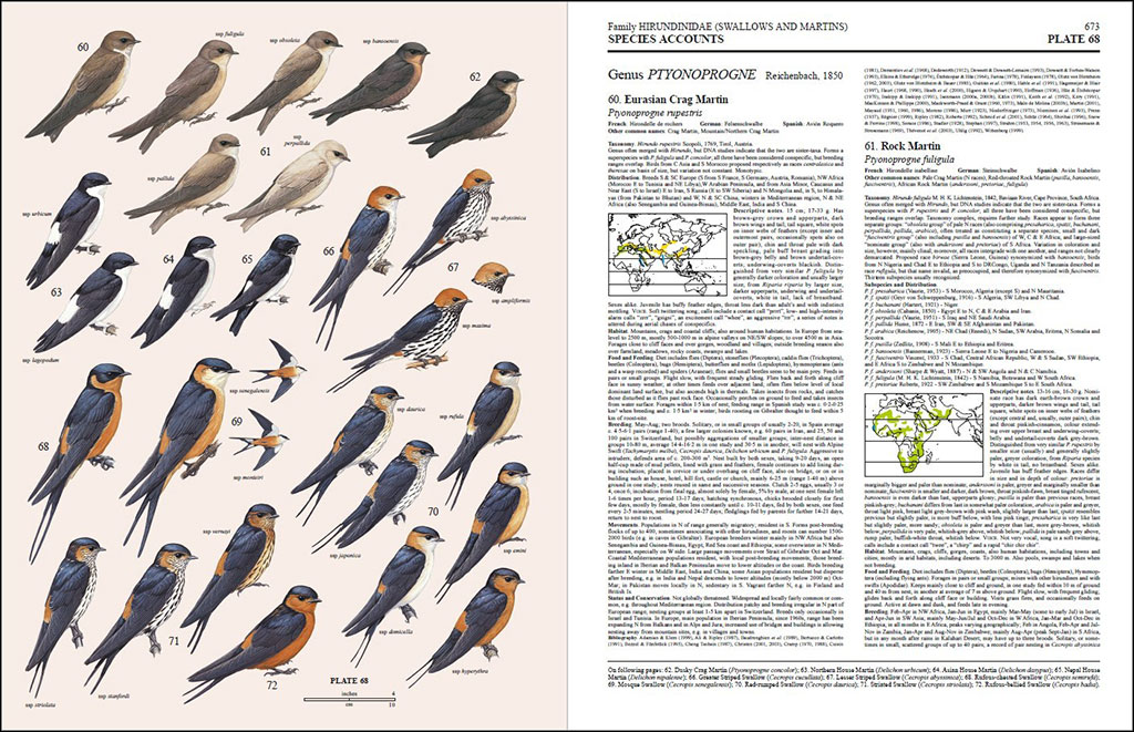 HANDBOOK OF THE BIRDS OF THE WORLD, VOL. 9. COTINGAS TO PIPITS AND WAGTAILS 4
