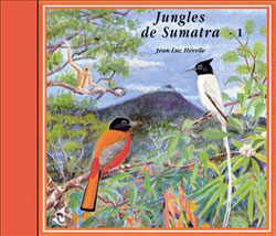 CD JUNGLES DE SUMATRA / JUNGLES OF SUMATRA 1