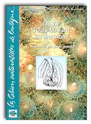 LA VIE SOUS MARINE EN BRETAGNE 1