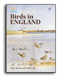 BIRDS IN ENGLAND